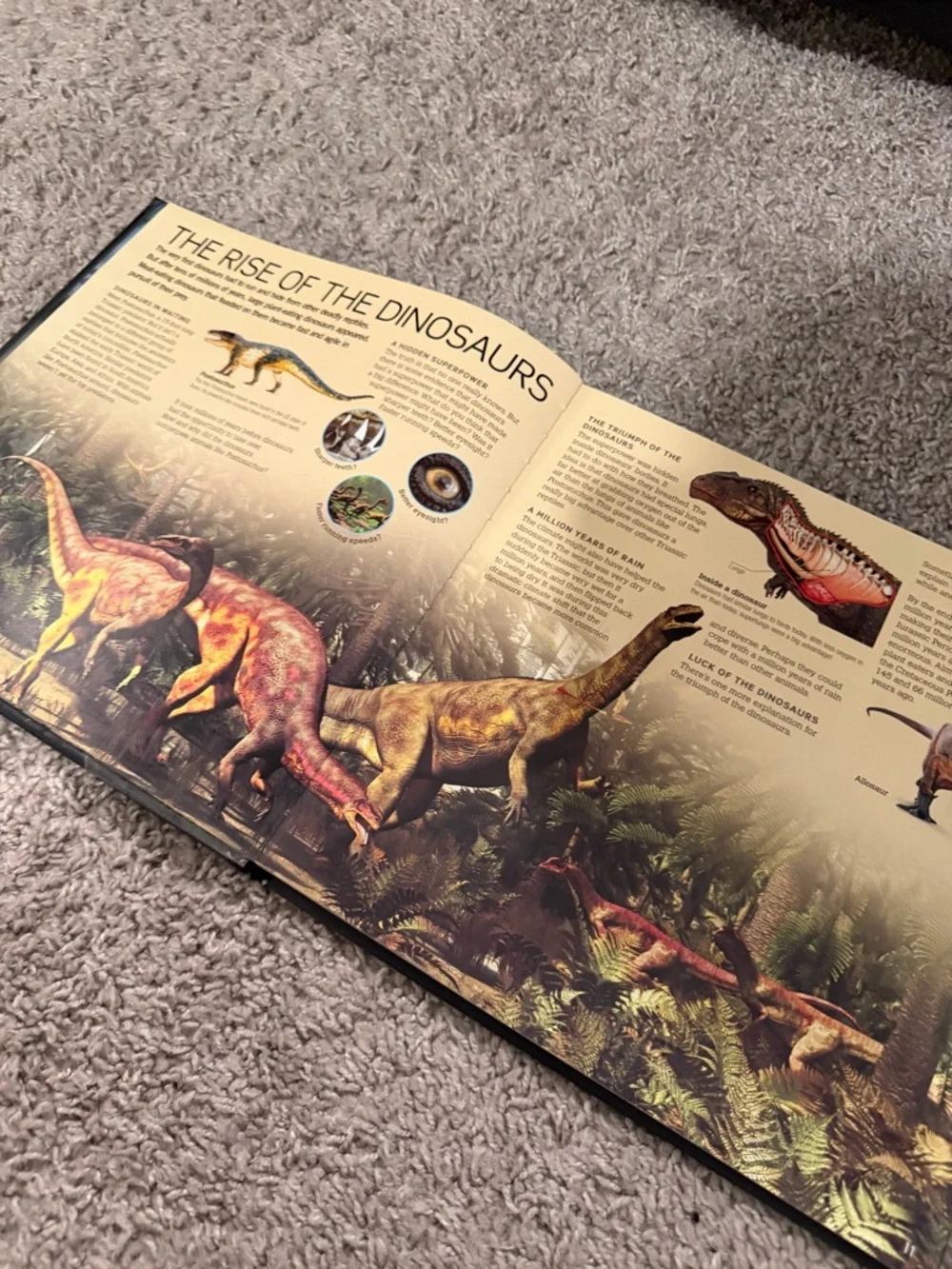 Age of Dinosaurs & Dino Trux Game Bundle - books